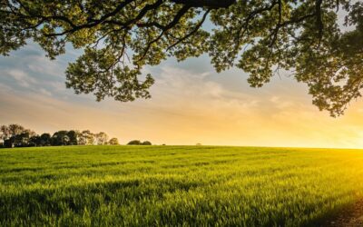 Farming Safety Training